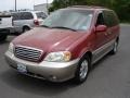 2003 Ruby Red Kia Sedona EX  photo #1