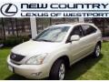 Millennium Silver Metallic - RX 350 AWD Photo No. 1