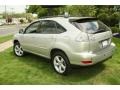 Millennium Silver Metallic - RX 350 AWD Photo No. 9