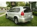 Titanium Silver Metallic - GX 470 Photo No. 10