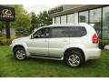 Titanium Silver Metallic - GX 470 Photo No. 11