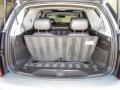 Light Platinum - SRX V6 Photo No. 20