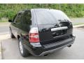 Nighthawk Black Pearl - MDX Touring Photo No. 6