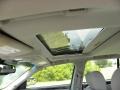 Light Platinum - DTS Sedan Photo No. 4