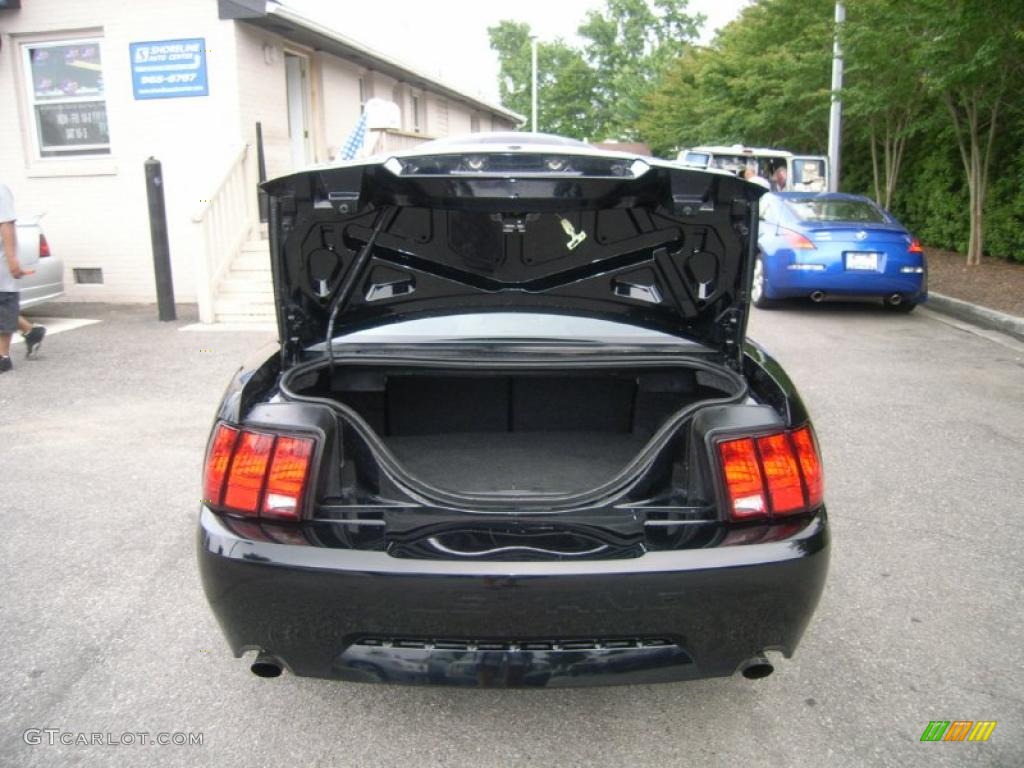 2001 Mustang Bullitt Coupe - Black / Dark Charcoal photo #9