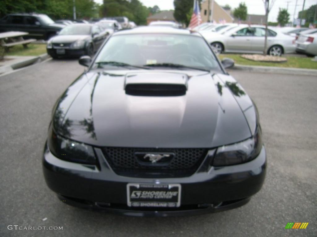 2001 Mustang Bullitt Coupe - Black / Dark Charcoal photo #28