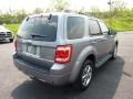 2008 Tungsten Grey Metallic Ford Escape Limited 4WD  photo #2