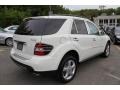 Arctic White - ML 350 4Matic Photo No. 6