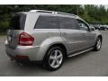 2009 Pewter Metallic Mercedes-Benz GL 450 4Matic  photo #6