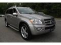 2009 Pewter Metallic Mercedes-Benz GL 450 4Matic  photo #8