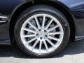 2008 Mercedes-Benz SL 550 Roadster Wheel and Tire Photo
