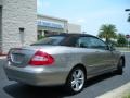 2006 Pewter Metallic Mercedes-Benz CLK 350 Cabriolet  photo #6