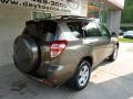 Pyrite Metallic - RAV4 I4 4WD Photo No. 2