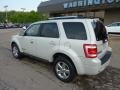 2008 Light Sage Metallic Ford Escape Limited 4WD  photo #2
