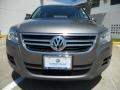 Alpine Grey Metallic - Tiguan S Photo No. 2