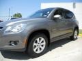 Alpine Grey Metallic - Tiguan S Photo No. 3