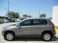 Alpine Grey Metallic - Tiguan S Photo No. 4