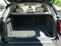 Oyster Trunk Photo for 2011 BMW X5 #49354237