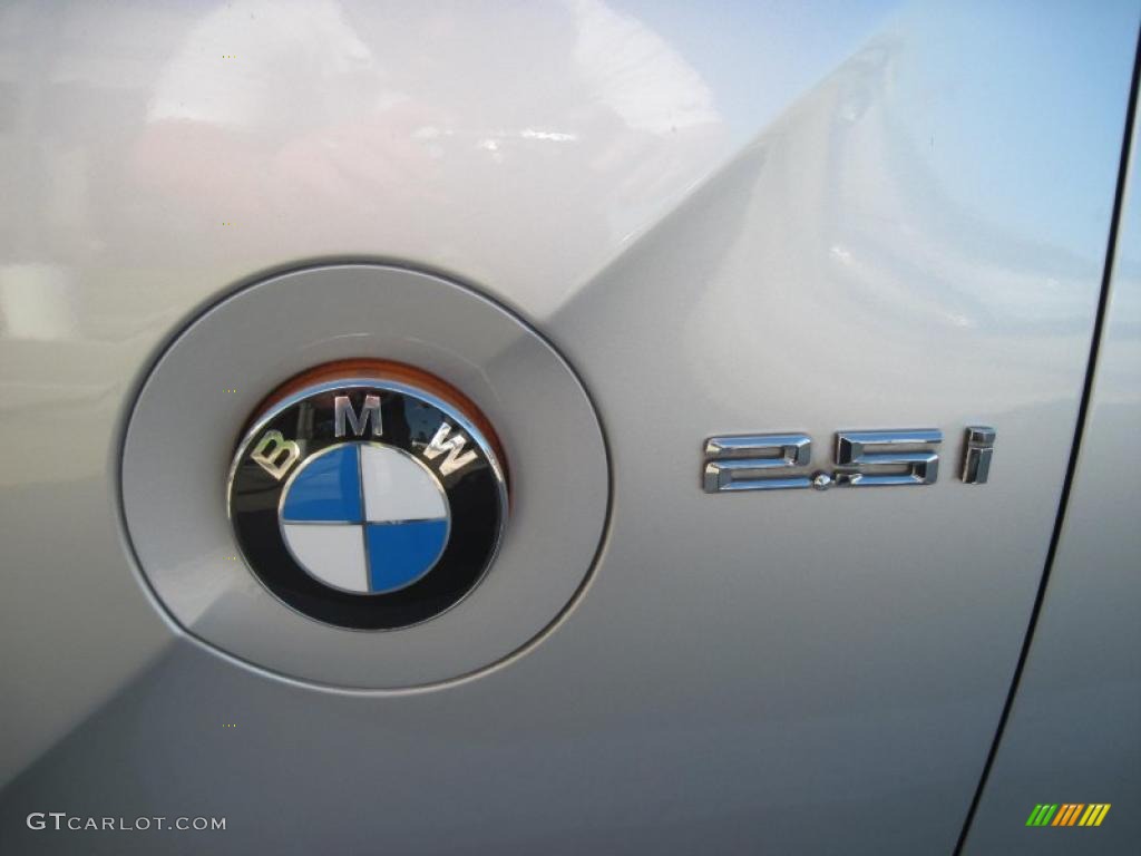 2003 Z4 2.5i Roadster - Titanium Silver Metallic / Black photo #14