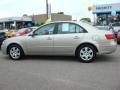 Camel Pearl - Sonata GLS Photo No. 3
