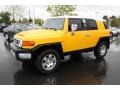 Sun Fusion Yellow - FJ Cruiser 4WD Photo No. 4