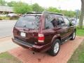 Merlot Red Pearl - Pathfinder SE 4x4 Photo No. 5