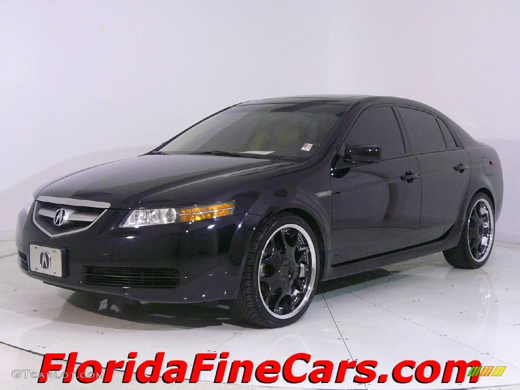 2006 Nighthawk Black Pearl Acura TL 3.2 441146 Photo 5