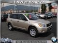 Savannah Metallic - RAV4 I4 Photo No. 1