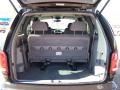 1998 Dark Slate Pearl Dodge Grand Caravan ES  photo #14