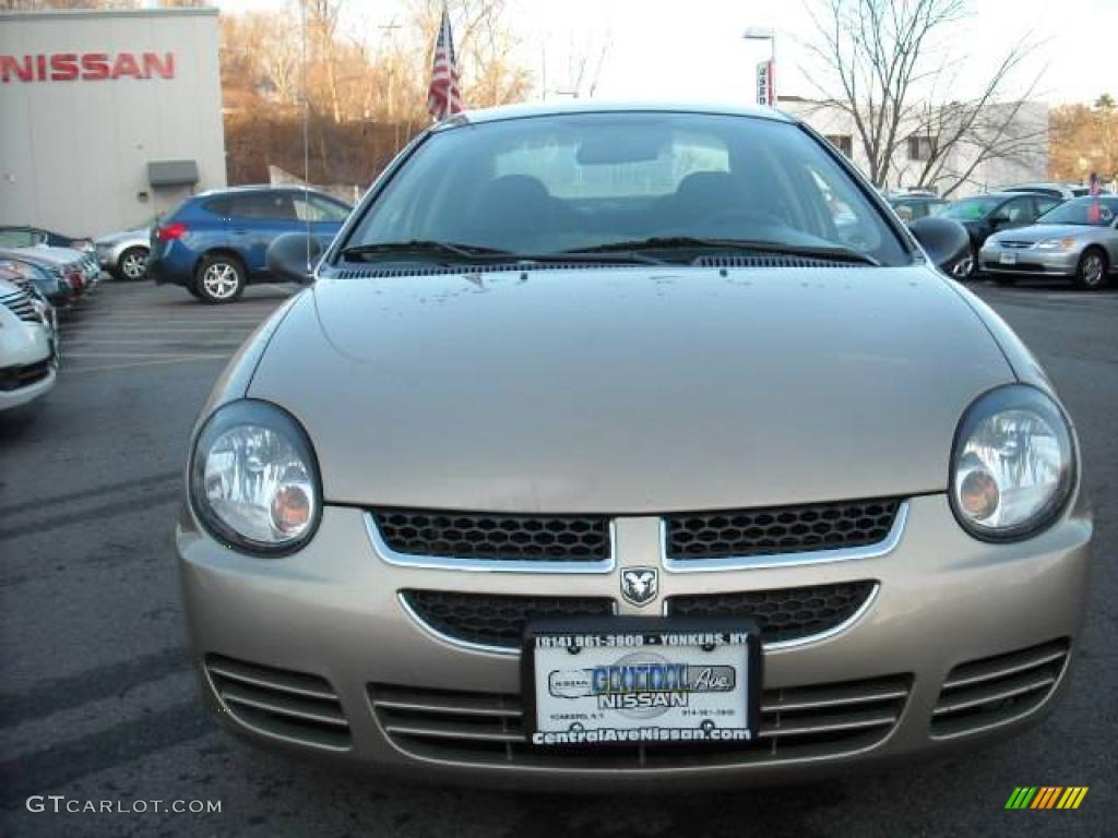 2003 Neon SE - Light Almond Pearl Metallic / Dark Slate Gray photo #2