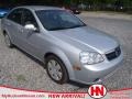 Titanium Silver Metallic - Forenza  Photo No. 1