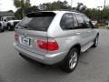Titanium Silver Metallic - X5 3.0i Photo No. 17