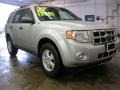 2009 Sterling Grey Metallic Ford Escape XLT  photo #20