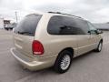 Champagne Pearl - Town & Country LXi Photo No. 8