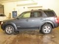 2008 Tungsten Grey Metallic Ford Escape Limited  photo #13