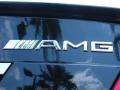 2009 Mercedes-Benz C 63 AMG Badge and Logo Photo