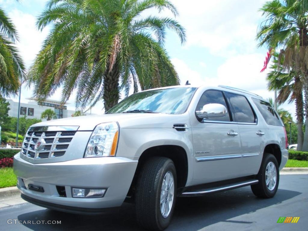 Silver Lining 2010 Cadillac Escalade Standard Escalade Model Exterior Photo #49403408