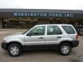 2006 Silver Metallic Ford Escape XLS 4WD  photo #1