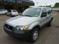 2006 Silver Metallic Ford Escape XLS 4WD  photo #8