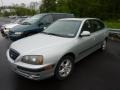Silver Pewter - Elantra GLS Sedan Photo No. 5