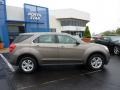 2010 Mocha Steel Metallic Chevrolet Equinox LS AWD  photo #2