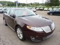 2010 Cinnamon Metallic Lincoln MKS AWD  photo #6