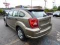 Light Khaki Metallic - Caliber SE Photo No. 2