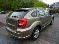 Light Khaki Metallic - Caliber SE Photo No. 4