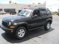 Black Clearcoat - Liberty Sport Photo No. 1