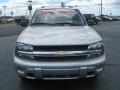Silverstone Metallic - TrailBlazer LS Photo No. 2