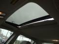 Carbon Bronze Metallic - TL 3.2 Photo No. 29