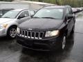 Brilliant Black Crystal Pearl 2011 Jeep Compass 2.4