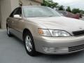 Cashmere Beige Metallic - ES 300 Photo No. 3