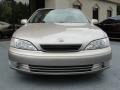 Cashmere Beige Metallic - ES 300 Photo No. 6